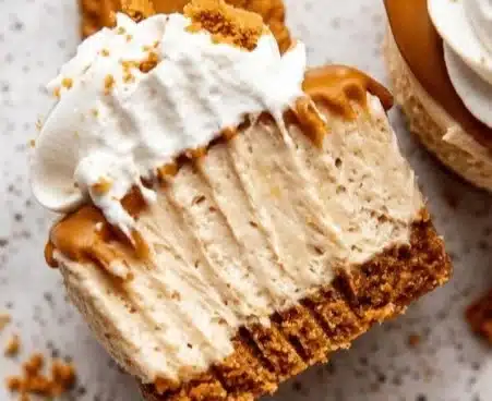 Mini No Bake Biscoff Cheesecakes