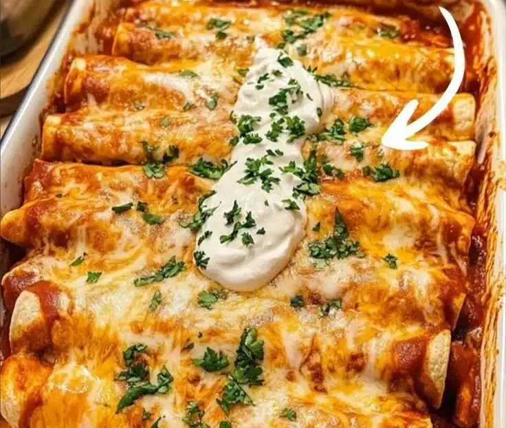 Ultimate Quick and Easy Chicken Enchiladas